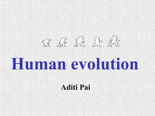 Human evolution
Aditi Pai
 