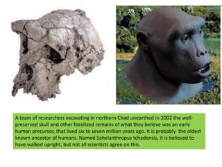 A team of researchers excavating in northern Chad unearthed in 2002 the well-preserved skull and other fossilized remains of what they believe was an early human precursor, that lived six to seven million years ago. It is probably  the oldest known ancestor of humans. Named Sahelanthropustchadensis, it is believed to have walked upright, but not all scientists agree on this.