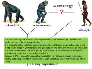 The term ‘missing link’ is often misinterpreted by those who oppose the theory of evolution, particularly the creationists. It is understandable to talk of a common ancestor, in this case a now extinct ape which led to the lineages of Chimpanzees and Bonobos on one hand and humans on the other. It is to be remembered that both groups have evolved in its own way for millions of years before taking the present characteristics. ‘Missing link’ between chimps and humans is that way absurd, because evolutionary theory does not postulate the existence of such a creature that is half human and half chimp.