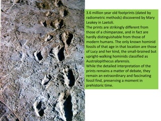 3.6 million year old footprints (dated by radiometric methods) discovered by Mary Leakey in Laetoli.The prints are strikingly different from those of a chimpanzee, and in fact are hardly distinguishable from those of modern humans. The only known hominid fossils of that age in that location are those of Lucy and her kind, the small-brained but upright-walking hominids classified as Australopithecus afarensis. While the detailed interpretation of the prints remains a matter of debate, they remain an extraordinary and fascinating fossil find, preserving a moment in prehistoric time.
