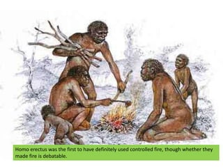 Homo erectus was the first to have definitely used controlled fire, though whether they made fire is debatable.