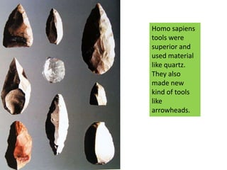 Homo sapiens tools were superior and used material like quartz. They also made new kind of tools like arrowheads.