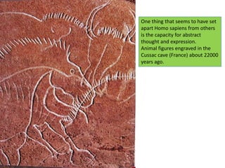 One thing that seems to have set apart Homo sapiens from others is the capacity for abstract thought and expression. Animal figures engraved in the Cussac cave (France) about 22000 years ago.