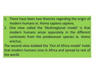 There have been two theories regarding the origin of modern humans ie. Homo sapiens sapiens.One view called the ‘Multiregional model’ is that modern humans arose separately in the different continents from the predecessor species ie. Homo erectus. The second view dubbed the ‘Out of Africa model’ holds that modern humans rose in Africa and spread to rest of the world.