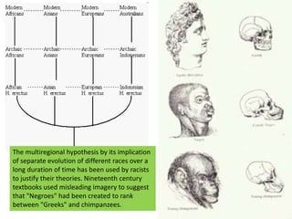 The multiregional hypothesis by its implication of separate evolution of different races over a long duration of time has been used by racists to justify their theories. Nineteenth century textbooks used misleading imagery to suggest that "Negroes" had been created to rank between "Greeks" and chimpanzees.