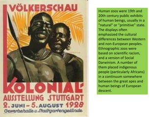 Human zoos were 19th and 20th century public exhibits of human beings, usually in a "natural" or "primitive" state. The displays often emphasized the cultural differences between Western and non-European peoples. Ethnographic zoos were based on scientific racism, and a version of Social Darwinism. A number of them placed indigenous people (particularly Africans) in a continuum somewhere between the great apes and human beings of European descent. 