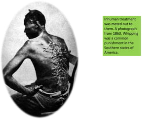 Inhuman treatment was meted out to them. A photograph from 1863. Whipping was a common punishment in the Southern states of America.