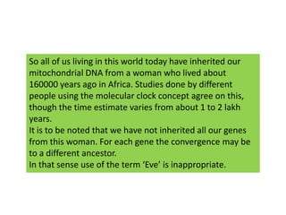 So all of us living in this world today have inherited our mitochondrial DNA from a woman who lived about 160000 years ago in Africa. Studies done by different people using the molecular clock concept agree on this, though the time estimate varies from about 1 to 2 lakh years.It is to be noted that we have not inherited all our genes from this woman. For each gene the convergence may be to a different ancestor.In that sense use of the term ‘Eve’ is inappropriate. 