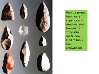 Homo sapiens tools were superior and used material like quartz. They also made new kind of tools like arrowheads.<br />