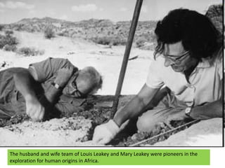 The husband and wife team of Louis Leakey and Mary Leakey were pioneers in the exploration for human origins in Africa.<br />