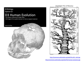 IB Biology Option D D3 Human Evolution Jason de Nys All syllabus statements ©IBO 2007 All images CC or public domain or link to original material. http://commons.wikimedia.org/wiki/File:LB1_skull.jpg http://commons.wikimedia.org/wiki/File:Human-evolution.jpg 