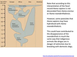 Prolonged growth period