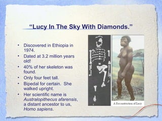 “Lucy In The Sky With Diamonds.”
• Discovered in Ethiopia in
1974.
• Dated at 3.2 million years
old!
• 40% of her skeleton was
found.
• Only four feet tall.
• Bipedal for certain. She
walked upright.
• Her scientific name is
Australopithecus afarensis,
a distant ancestor to us,
Homo sapiens.

 
