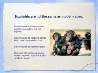 Hominids are not the same as modern apes.
•

Modern apes like chimpanzees,
gorillas, orangutans are not
bipedal.

•

Modern apes do not have a large
brain case compared to ours.

•

Modern apes do not make tools.

•

However, chimpanzees are our
closest relative - our DNA is 98%
similar to theirs!

 