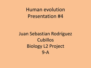 Human evolution (presentation #4 biology l2 project) | PPTX