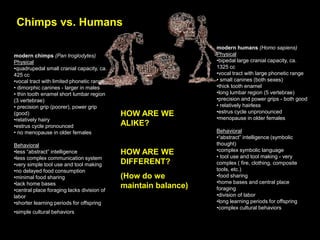 Humans Monkeys Human evolution | PPT
