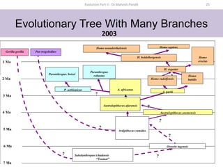 HUMAN EVOLUTION.pptx