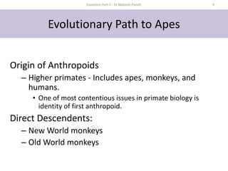 HUMAN EVOLUTION.pptx