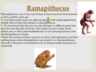 Rmapithecus Step to step Evolution of human: Since ages till today | PDF