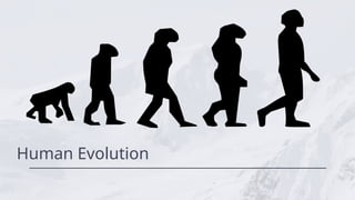 Human Evolution class 10 ppt biology ppt | PPTX