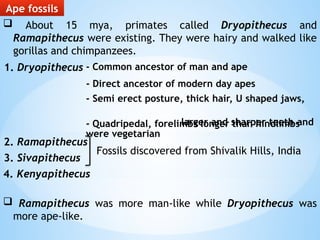 Human Evolution from its ancestors(1).pptx