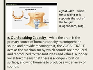2. Our Speaking Capacity – while the brain is the
primary source of human capacity to comprehend
sound and provide meaning to it, theVOCALTRACT
acts as the mechanism by which sounds are produced
and reproduced to transmit ideas and values. A longer
vocal tract means that there is a longer vibration
surface, allowing humans to produce a wider array of
sounds.
Hyoid Bone – crucial
for speaking as it
supports the root of
the tongue
(Hogenboom, 2013).
 