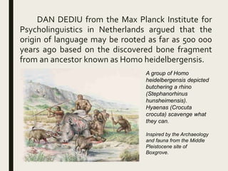 DAN DEDIU from the Max Planck Institute for
Psycholinguistics in Netherlands argued that the
origin of language may be rooted as far as 500 000
years ago based on the discovered bone fragment
from an ancestor known as Homo heidelbergensis.
A group of Homo
heidelbergensis depicted
butchering a rhino
(Stephanorhinus
hunsheimensis).
Hyaenas (Crocuta
crocuta) scavenge what
they can.
Inspired by the Archaeology
and fauna from the Middle
Pleistocene site of
Boxgrove.
 