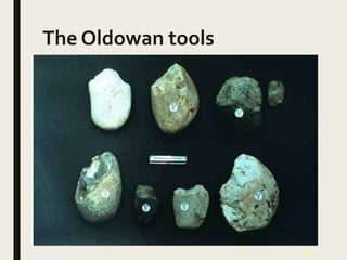 23
The Oldowan tools
 