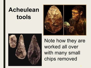 27
Acheulean
tools
Note how they are
worked all over
with many small
chips removed
 