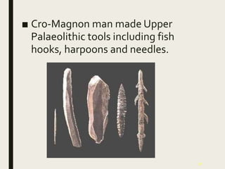 37
■ Cro-Magnon man made Upper
Palaeolithic tools including fish
hooks, harpoons and needles.
 