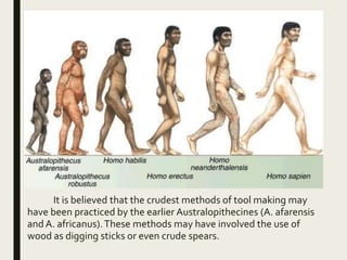 It is believed that the crudest methods of tool making may
have been practiced by the earlier Australopithecines (A. afarensis
and A. africanus).These methods may have involved the use of
wood as digging sticks or even crude spears.
 