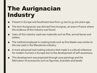 The Aurignacian
Industry
■ Present in Europe and Southwest Asia from 45 000 to 35 000 years ago.
■ The term Aurignacian was derived from Aurignac, an area in France where
the evidence of this industry was found.
■ Users of this industry used raw materials such as flint, animal bones and
antlers.
■ The method employed in creating tools such as fine blades was similar to
the one used in the Mousterian industry.
■ A more advanced tool making industry that made it a cultural milestone
for modern humans in Europe due to the development of self-awareness.
■ This development was projected through cave paintings and the
fabrication of accessories such as figurines, bracelets and beads.
 