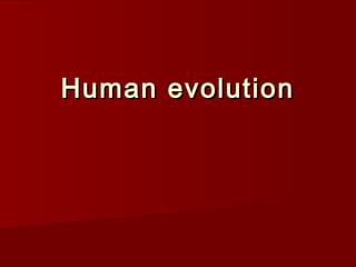 Human evolutionHuman evolution
 