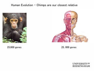 HumanEvolutionLecture.ppt