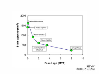 0
500
1000
1500
2000
0 2 4 6 8 10
Fossil age (MYA)
Brain
capacity
(cm
3
)
Homo neanderthal
Homo erectus
Homo sapiens
ramapithicus
Australopithicus
africanus
Homo habilis
 