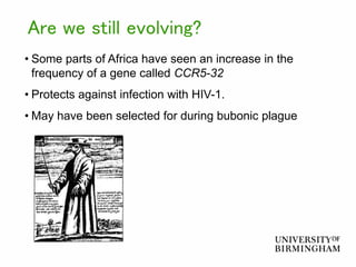 Are we still evolving?
• Some parts of Africa have seen an increase in the
frequency of a gene called CCR5-32
• Protects against infection with HIV-1.
• May have been selected for during bubonic plague
 