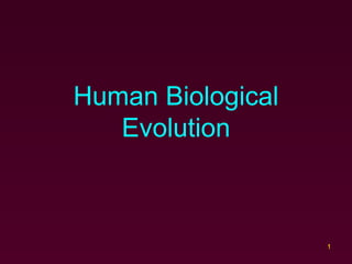 Human Biological Evolution 