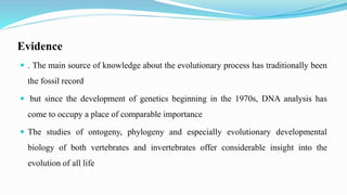 Evidence
 . The main source of knowledge about the evolutionary process has traditionally been
the fossil record
 but since the development of genetics beginning in the 1970s, DNA analysis has
come to occupy a place of comparable importance
 The studies of ontogeny, phylogeny and especially evolutionary developmental
biology of both vertebrates and invertebrates offer considerable insight into the
evolution of all life
 