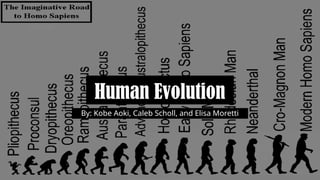 Human Evolution Powerpoint for Science Classes | PPTX