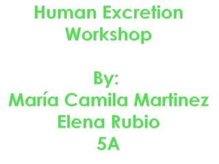 Human Excretion Workshop By:  María Camila Martinez Elena Rubio 5A 