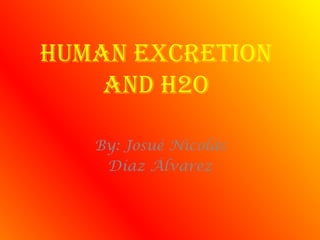 Human excretionand H2O By: Josué Nicolás  Díaz Álvarez 
