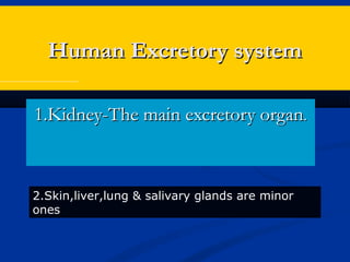 Human Excretory systemHuman Excretory system
1.Kidney-The main excretory organ1.Kidney-The main excretory organ..
2.Skin,liver,lung & salivary glands are minor
ones
 