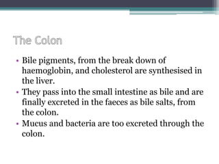 • Bile pigments, from the break down of
haemoglobin, and cholesterol are synthesised in
the liver.
• They pass into the small intestine as bile and are
finally excreted in the faeces as bile salts, from
the colon.
• Mucus and bacteria are too excreted through the
colon.
 