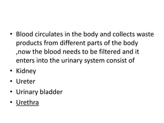 • Blood circulates in the body and collects waste
products from different parts of the body
,now the blood needs to be filtered and it
enters into the urinary system consist of
• Kidney
• Ureter
• Urinary bladder
• Urethra
 