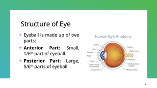 human eye_sensation_psychology_physiology.pptx