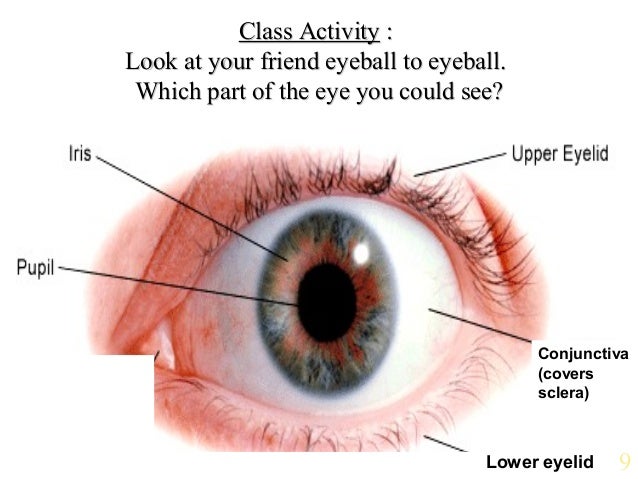 Related image