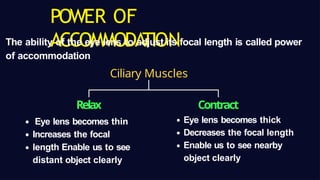 Comprehensive Study of the Human Eye, Vision Defects, and Light ...