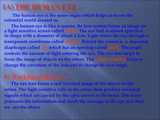 The human eye is the sense organ which helps us to see the
colourful world around us.
The human eye is like a camera. Its lens system forms an image on
a light sensitive screen called retina. The eye ball is almost spherical
in shape with a diameter of about 2.3cm. Light enters the eye through a
transparent membrane called cornea. Behind the cornea is a muscular
diaphragm called iris which has an opening called pupil. The pupil
controls the amount of light entering the eye. The eye lens helps to
focus the image of objects on the retina. The ciliary muscles helps to
change the curvature of the lens and to change its focal length.
b) Working of the eye :-
The eye lens forms a real inverted image of the object on the
retina. The light sensitive cells in the retina then produce electrical
signals which are carried by the optic nerves to the brain. The brain
processes the information and sends the message to the eye and then
we see the object.
 