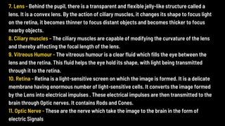 7. Lens - Behind the pupil, there is a transparent and flexible jelly-like structure called a
lens. It is a convex lens. By the action of ciliary muscles, it changes its shape to focus light
on the retina, it becomes thinner to focus distant objects and becomes thicker to focus
nearby objects.
8. Ciliary muscles – The ciliary muscles are capable of modifying the curvature of the lens
and thereby affecting the focal length of the lens.
9. Vitreous Humour - The vitreous humour is a clear fluid which fills the eye between the
lens and the retina. This fluid helps the eye hold its shape, with light being transmitted
through it to the retina.
10. Retina - Retina is a light-sensitive screen on which the image is formed. It is a delicate
membrane having enormous number of light-sensitive cells. It converts the image formed
by the Lens into electrical impulses . These electrical impulses are then transmitted to the
brain through Optic nerves. It contains Rods and Cones.
11. Optic Nerve - These are the nerve which take the image to the brain in the form of
electric Signals
 
