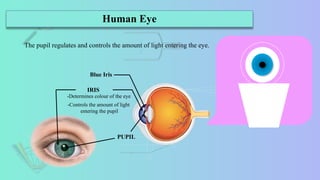 HUMAN EYE AND THE WORKING OF ITS LENS.pptx